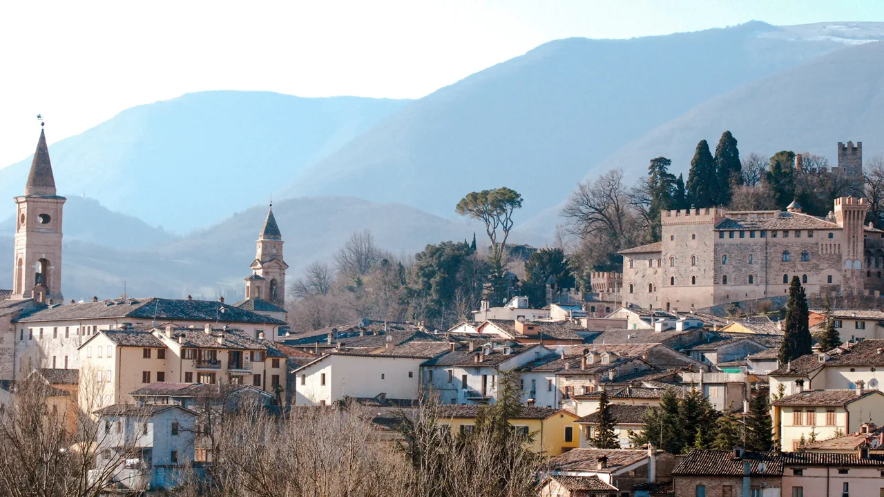 Associazione Olio Extravergine Varietà Coroncina